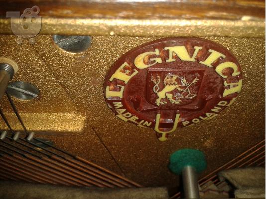 πιανα legnica